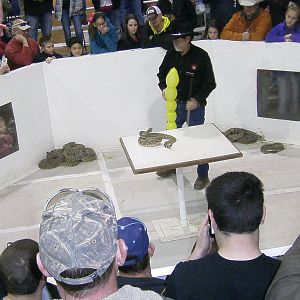 looking for a strike