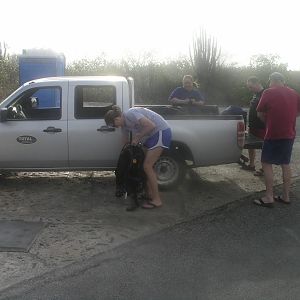 the pool is always open on Bonaire