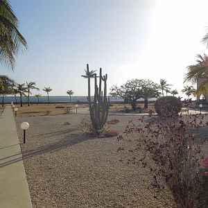 View from the Sand Dollar