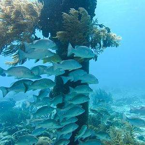 Hanging out at salt Pier