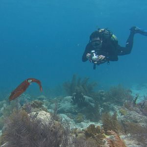 Sushi Boy looking for some Ika