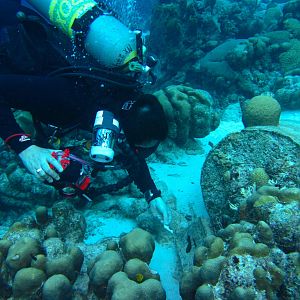 Sushi Boy finds a geo-cache