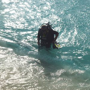 ReefHound_at_Bachelor_Beach
