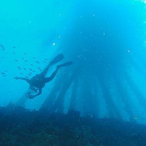 Sushi Bot at Salt Pier