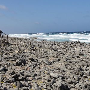 Windward side of Bonaire