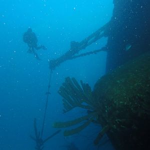 Hilma Hooker wreck
