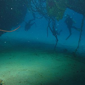 Divers under the Hilma Hooker