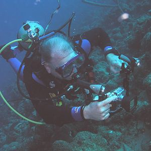 K-Jenn Divers assuming the position