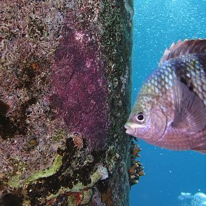 the artist with his work