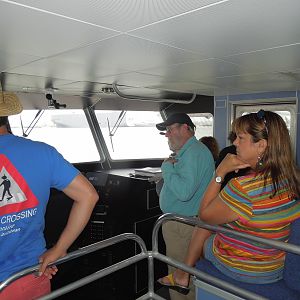 in the  bridge