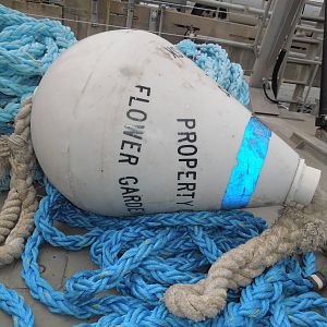 mooring buoys headed to the sanctuary
