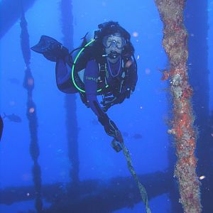 Heidi Ho's wild ride
