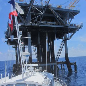 Flower_Gardens_62014-9867