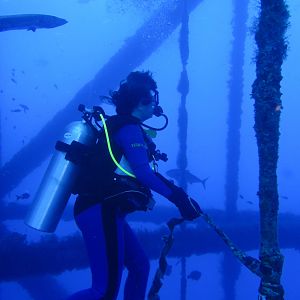 There has to be a better way to organize these fish