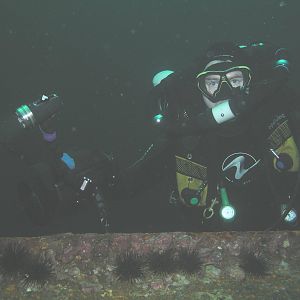 DeepGeek