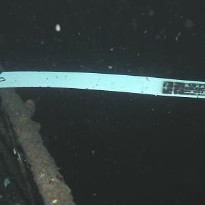 Lulu geocache