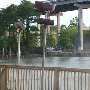Behind Bama Breeze Bar