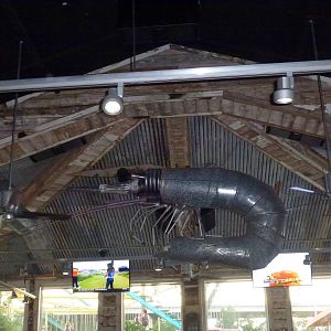 Giant shrimp