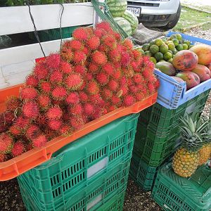 fruit stand