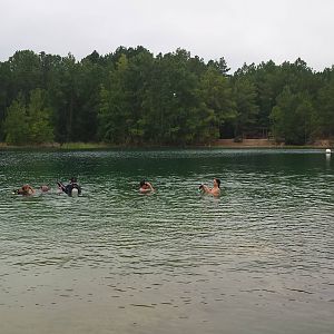 20140913_110619