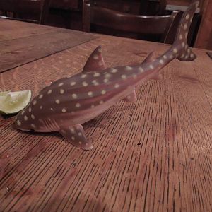 Ugh, I shouldn't have taken that last dive