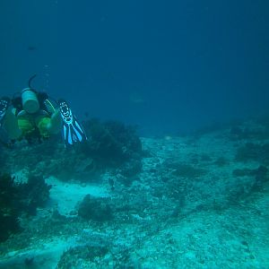 PICT0690