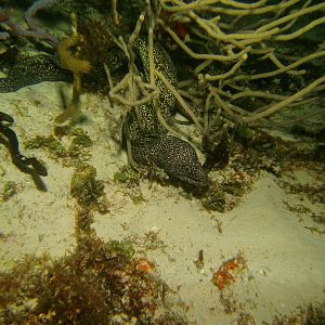 PICT0785