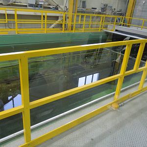 Hunley in conservation