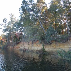 Cooper River bank
