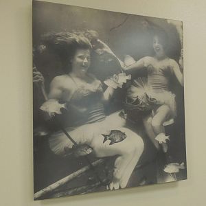 Once upon a time in Texas