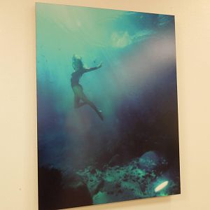 I looked EVERYWHERE in the lake for her...