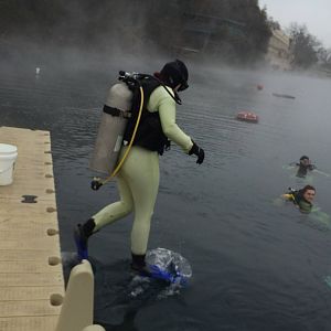 Sadye_enters_the_water