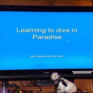 Tough job but someone's got to do it