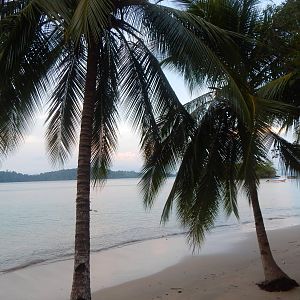 Coiba Island