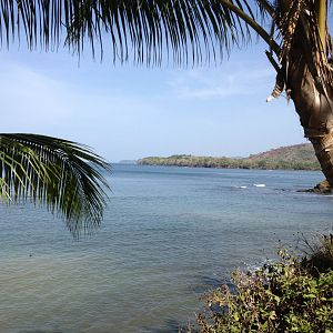 One last glimpse of paradise