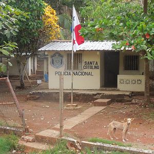 next door to the shop