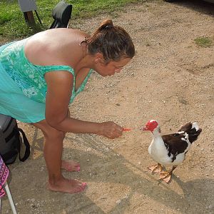 scubagirl feeding the locals
