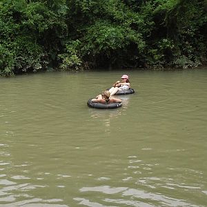 launching sequence
