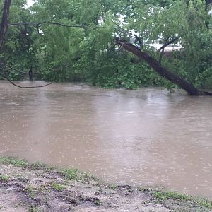 Comal Flood 2015