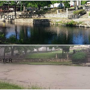 Comal Flood 2015