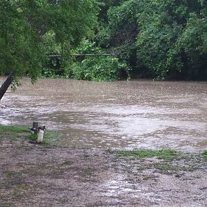 Comal Flood 2015