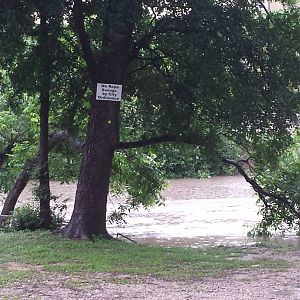Comal Flood 2015