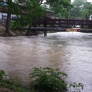 Comal Flood 2015