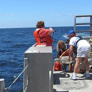 Kemps_Ridley_Release-2706