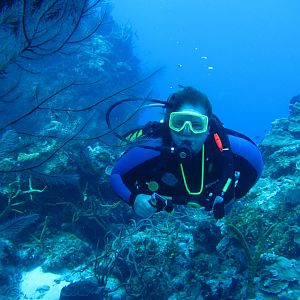 Ms KJenn Dives on Palancar