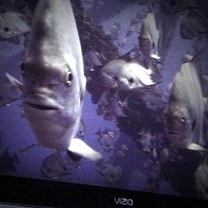 July 2015 - Typical sites to be seen