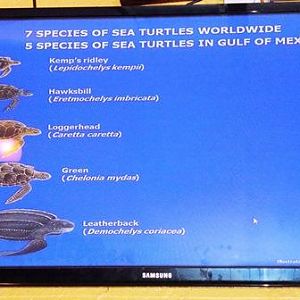 Aug 2015 - You only gotta know 5