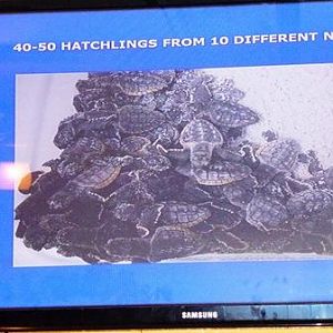 Aug 2015 - awww...the reason we came