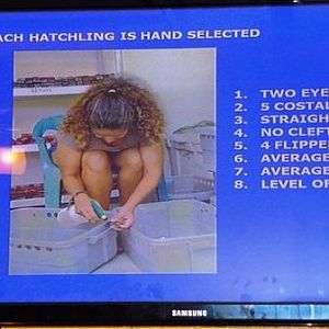 Aug 2015 - Somebody's gotta do it