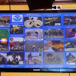 Aug 2015 - Dayum - they do alot!